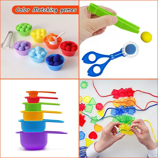 Montessori Fine Motor Training Toys Colors Cognitive Sorting Count Matching Games Parish Open Learning Materials Home Education